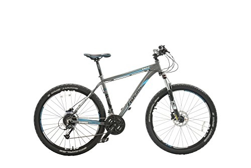 Bicicletas de montaña : Falcon Enzo - Bicicleta de montaña, Color Gris / Azul, Talla 12 años