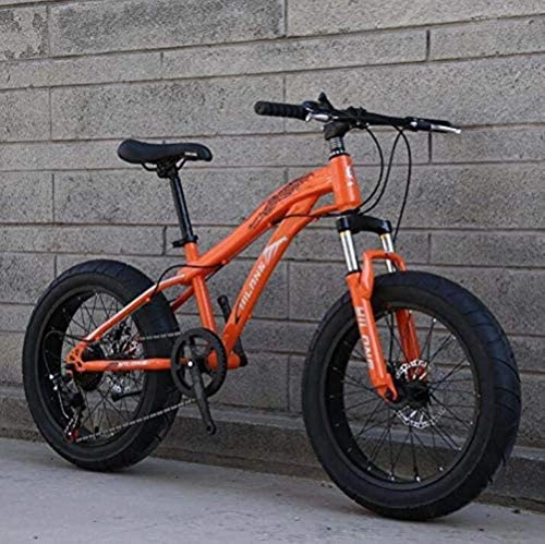 Bicicletas de montaña : LFSTY Bicicleta Fat Tire Bike, Bicicletas de montaña para Adultos y Adolescentes con Frenos de Disco y Horquilla de suspensión de Resorte, Marco de Acero de Alto Carbono, B, 20inch 24 Speed