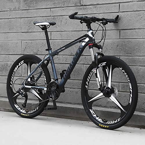 Bicicletas de montaña : LWZ Bicicleta de montaña para Adultos Ruedas de 26 Pulgadas Bicicleta de Sendero de montaña Bicicletas de Carretera de Acero con Alto Contenido de Carbono Bicicleta de 21 velocidades MTB