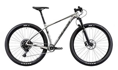 Bicicletas de montaña : Merida Big.Nine NX-Edition - Bicicleta de montaña, titanio / plata, 2019 RH 53 cm / 29 pulgadas