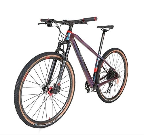 Bicicletas de montaña : Twitter W 12 velocidad completa de fibra de carbono bicicleta de montaña bicicleta nueva