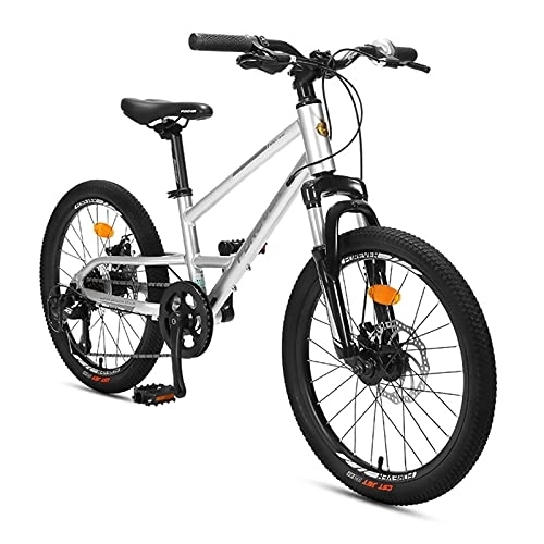 Bicicletas de montaña : ZboLi Bicicleta Infantil Freestyle para niño y niña, Bicicleta cómoda con estabilizadores y Timbre, 20 '' / 8 velocidades (Color: Plata) (Plata)