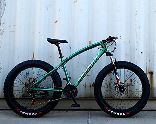 Bicicletas de montaña : ZWR – Bicicleta de montaña para hombre, 24 / 26", rígida, marco de acero de alta resistencia, freno de doble disco, bicicleta para adultos, color verde, tamaño 24inches 7 speed