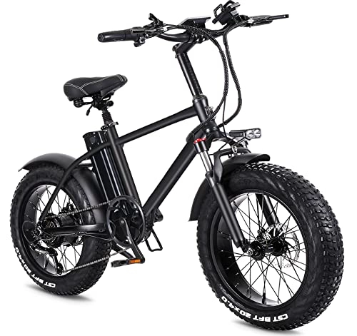Bicicletas eléctrica : 20'' Bicicleta Eléctrica, E Bike con Batería Litio Extraible 48V 15Ah, Asistencia de Pedal Bici Electrica, Fat Electric Ciudad Bike para Adolescentes y Adultos