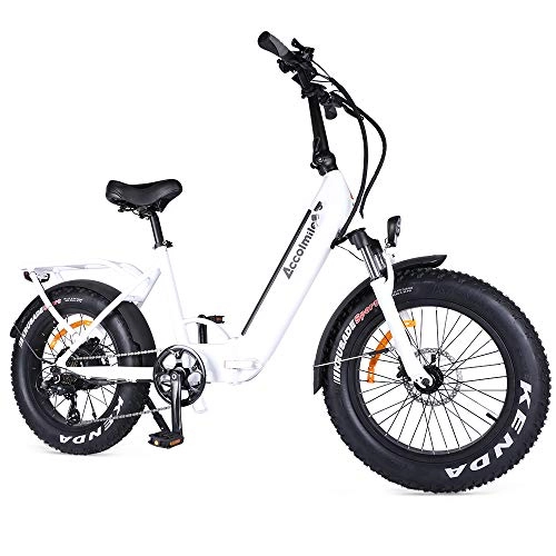 Bicicletas eléctrica : Accolmile Bicicleta Eléctrica Plegable Fat Tire Beach Snow Bicicleta Eléctrica de 20 Pulgadas, Motor eléctrico Central BAFANG 48V 750W, con batería de Litio extraíble de 14Ah 672Wh