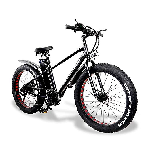Bicicletas eléctrica : Bicicleta eléctrica de montaña Fatbike para hombre, 26 pulgadas, 750 W, moto de 48 V, 15 A, batería de 21 velocidades