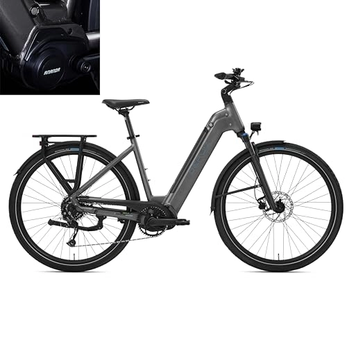 Bicicletas eléctrica : DERUIZ E Bike - Bicicleta eléctrica de 28 pulgadas, motor central, 250 W, 80 Nm, batería de litio de 48 V, 13, 4 Ah, Shimano de 9 marchas, ruedas de ciudad de 25 km / h hasta 120 km