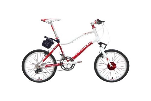 Bicicletas eléctrica : Dorcus DC-1 Emotion 20G - Bicicleta eléctrica (20 pulgadas, 24 V, 11, 6 Ah), color rojo y blanco