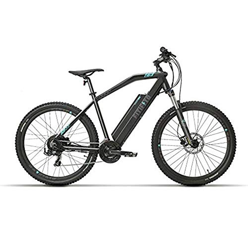 Bicicletas eléctrica : Fitifito MT29 - Bicicleta elctrica de montaña, 48 V, 250 W, motor trasero, 48 V, 13 Ah, 624 W, iones de litio con conexin USB