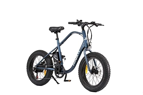 Bicicletas eléctrica : Nilox, E-Bike J3, Bicicleta eléctrica con pedaleo asistido, 70 km de autonomía, hasta 25 km / h, batería de litio de 36 V 12, 8 Ah, ruedas de 20", 7 velocidades, frenos de disco