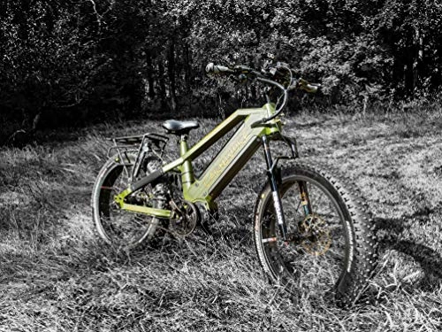 Bicicletas eléctrica : Staker Mad Bike Carnivore Tropical Green - Bicicleta eléctrica (26 x 4, 8 cm, 1000 W, 48 V, 30 Ah, 160 Nm)