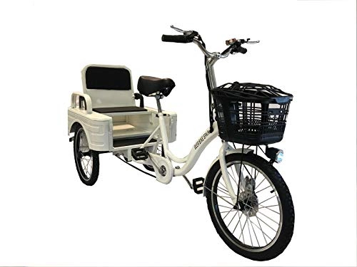 Bicicletas eléctrica : Triciclo eléctrico Adulto 250W 12Ah con almacenaje - Incluye cesta y asiento con respaldo