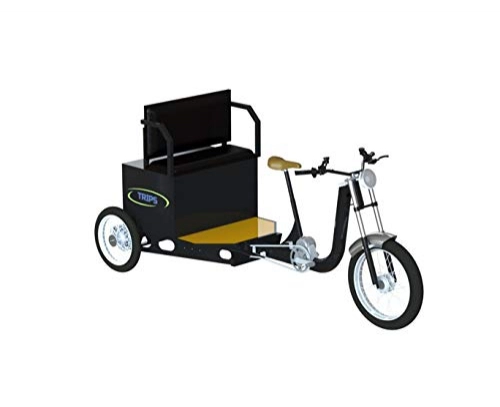 Bicicletas eléctrica : TRIPS - Triportador eléctrico de 250 kg de carga. Módulos: Street Food Truck Cociine-Trans Palets – Pickup – Cargo envío – Taxi – (Taxi)