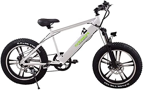 Bicicletas eléctrica : ZJZ Bicicleta de montaña eléctrica de 20"para Adultos 500W neumático Gordo Bicicleta Todoterreno aleación de Aluminio con batería de Iones de Litio 110AH