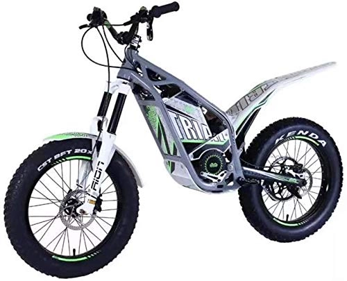 Bicicletas eléctrica : ZJZ Dirt Bike D1 Bicicleta de Cross eléctrica para Adultos de 20 y 24 Pulgadas, Motocicleta eléctrica con batería 30ah Motor 1200w DC, Freno de Disco hidráulico, Gris