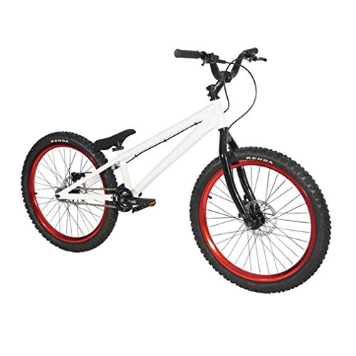 BMX : GASLIKE Bicicleta BMX Jump Bike de 24 Pulgadas, Cuadro y Horquilla de aleación de Aluminio, Freno de Disco mecánico, Blanco, Upgrade Model