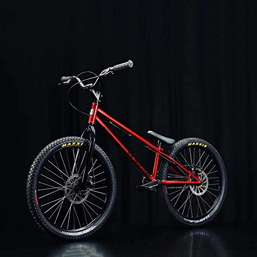 BMX : GASLIKE Bicicletas de Prueba de Bike-Street Professional Street, suplicaciones de Lujo adecuadas para Principiantes a Nivel avanzado-24 Pulgadas, Electroplating Silver