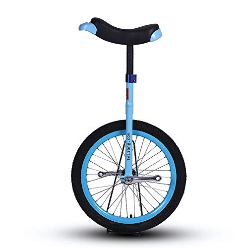 Monociclo : HWLL Monociclo Monociclo con Ruedas de 20" Entrenador de Niños / Adultos, Bicicleta de Equilibrio de Una Sola Rueda, para Niños Principiantes Ejercicio para Adultos Diversión Fitness