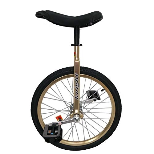 Monociclo : JLXJ Monociclos 20" / 24" Monociclo de Oro para Niños Grandes / Adolescente / Adultos / Mujer Hombre, para Fitness Ejercicio para Principiantes, Rueda Antideslizante Bicicleta de Llanta de Aleación