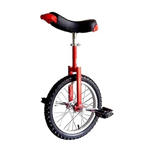 Monociclo : Monociclo de 20 / 24 Pulgadas con Ruedas para Adultos y niños, Bicicleta de Equilibrio, monociclos con Ruedas Gruesas de aleación de Aluminio, Altura del Asiento de la Bicicleta (A 24 Pulgadas)