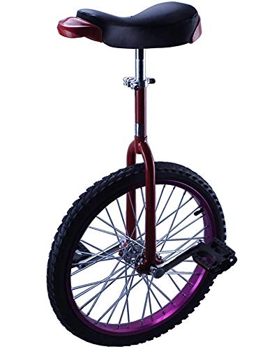 Monociclo : WXX 14 / 16 / 18 / 20 / 24 Pulgadas Monociclo para Niños Monociclo Monociclo Bicicleta De Equilibrio Color Ruedas De Aleación De Aluminio Bicicleta De Ejercicio Al Aire Libre, Púrpura, 18 Inch