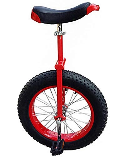 Monociclo : WXX Monociclo De Rueda para Adultos De 20 / 24 Pulgadas, Bicicleta De Equilibrio De Una Sola Rueda, Antideslizante Ajustable, ATV, Bicicleta De Ejercicio Al Aire Libre, Entrenador Avanzado, 24 Inches