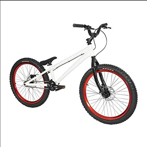 BMX Bike : Freestyle Bike Trail Mountain Bike Extreme Sports Disc Brakes 24 Inches Outdoor Travel Used for The Beginner, White