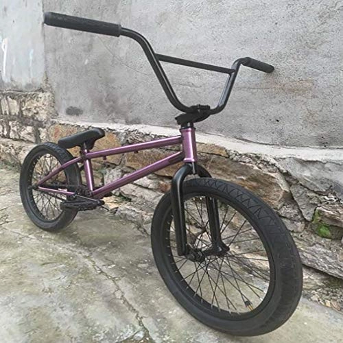 BMX Bike : GASLIKE BMX Bikes 20-Inch Freestyle for Beginner-Level To Advanced Riders, High-Strength Full Crmo Frame And Front Fork, 25X9T Gear Ratio, Purple