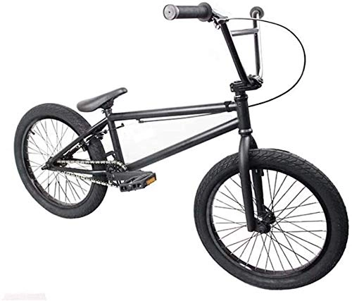 BMX Bike : QZ 20 Inch BMX Bikes Freestyle for Beginner To Advanced Riders, High Carbon Steel Frame, 25X9T BMX Gearing, with U-Type Brake