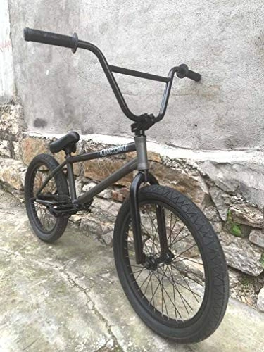 BMX Bike : SWORDlimit 20 Inch Freestyle BMX Bike, Hi-Ten Steel Frame, Single-Speed Drivetrain, Nylon Pedals, 20 X 2.3 Tires Mounted on Double Rims, Frosted Grey