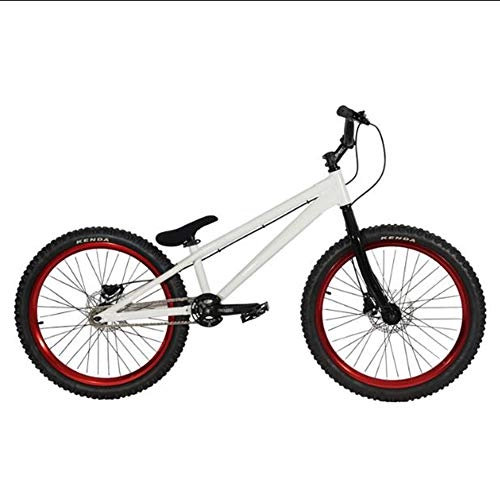 BMX Bike : TX Professional 24 Inches Freestyle Bike Trail Mountain Jump Bike Extreme Sports Disc Brakes Outdoor Travel Used, White