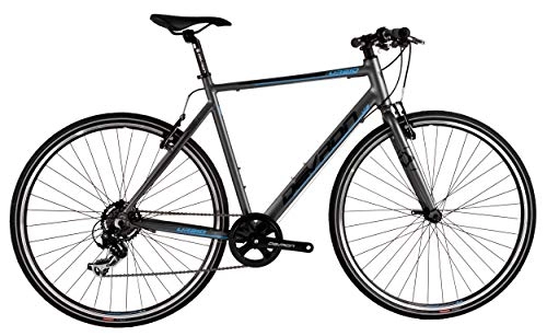 Comfort Bike : Devron Urban U1, 8 28 Inch 52 cm Men 7SP Rim Brakes Grey