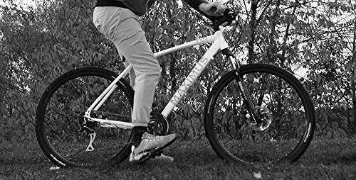 Comfort Bike : Maximus Urban XTrail XXIV - 18 Inch Frame
