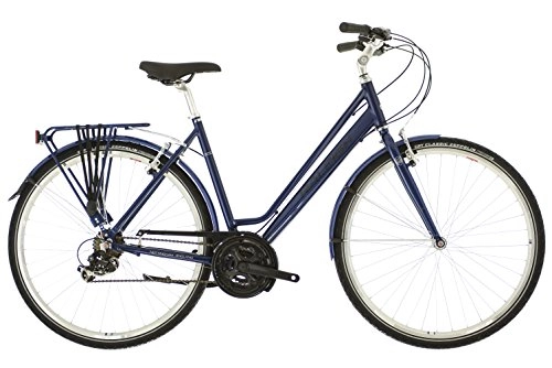 Comfort Bike : Raleigh Men's Pioneer 1 Street Equipped, Blue, Size 17