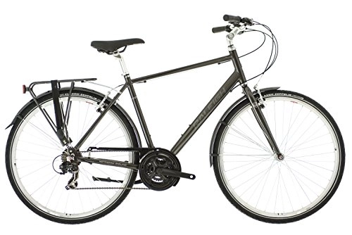 Comfort Bike : Raleigh Men's Pioneer 1 Street Equipped, Gunmetal, Size 17