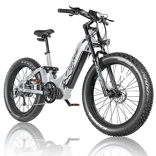 Electric Bike : 26inch Aluminum Frame Electric Bike For Adults, Trax Mountain Ebike 250W 52V 20Ah 1040wh, 4" All-Terrain Fat Tire, Shimano 9-Speed Rear, Full Air Suspension, (Grey)
