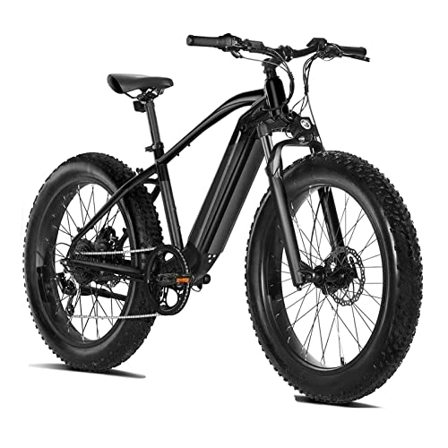 Electric Bike : 750W Electric Bike for Adults 48V 16Ah Lithium-Ion Battery Removable 26'' Fat Tire Ebike 25mph Snow Beach Mountain E-Bike