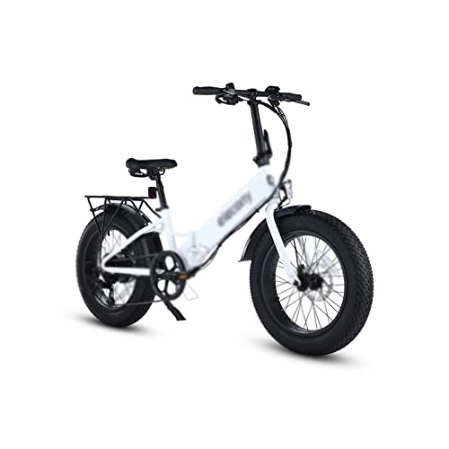 Electric Bike : Adult Electric Bicycles Electric Motor Bikes Bicycles ELECTR Bike Mountain Bike Snow Bicycle 20Inch Fat Tire Folded Ebike Cycling for Adult