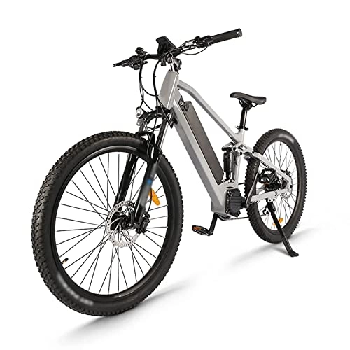 Electric Bike : Adults Electric Bike 750W 48V 26'' Tire Electric Bicycle, Electric Mountain Bike with Removable 17.5ah Battery, Professional 21 Speed Gears (Color : Gray)
