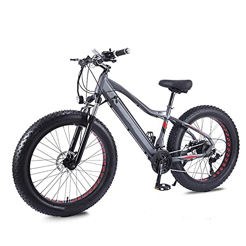 Electric Bike : BAHAOMI Electric Bike 26" 27 Speed Adults Electric Mountain Bicycle Double Disc Brakes City Commute Ebike Fat Tire Snowmobile Hidden Removable Lithium Battery E-Bike, Gray, 48V 750W