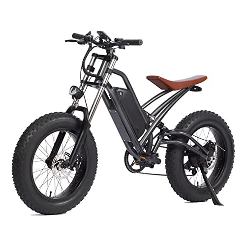 Electric Bike : bzguld Electric bike Electric Bike for Adults 750W Motor 48V Lithium Battery 20 Inch Fat Tire Electric Assisted Bicycle Double Shock Beach Snow Electric Bicycle (Color : Black)