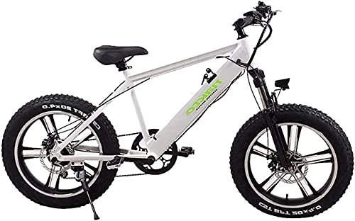 Electric Bike : CASTOR Electric Bike 20" Electric Mountain Bike For Adults 500W Fat Tire OffRoad bike Aluminum Alloy With 110AH Lithium Ion Battery bike