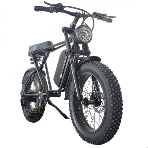 Electric Bike : cysum C91 Electric Mountain Bike, Fat Tire Electric Bike for Adult, Shipped from Europe, 20" Off-Road E-Bike for Men / Women, Removable Li-Battery 48V 15Ah, Electric Bicycle Maximum Range 75km (Black)
