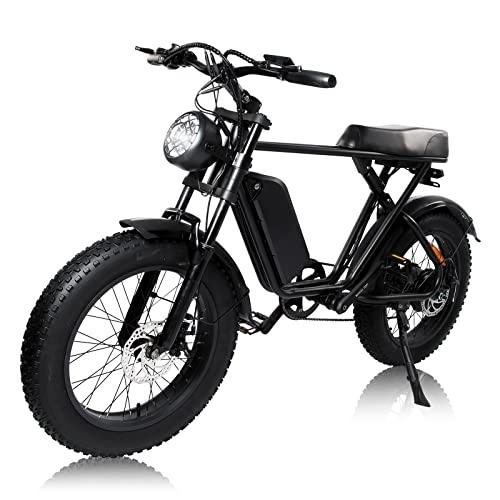 Electric Bike : E-RIDES 20x4 Fat Tire Electric Bikes for Adults with 48V 15Ah Battery, Dual Suspension, and 7-Speed Options for Outdoor Cycling, Mountain Biking, Dirt Biking, and Snow Biking