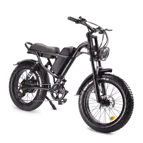 Electric Bike : Electric Bicycle for Adults, 48V 15.6Ah E Bike Electric Bike for Adults, 20" Electric Mountain Bike Fat tire Electric Bike Ebike with Removable Battery, Shimano 7-Speed Gear