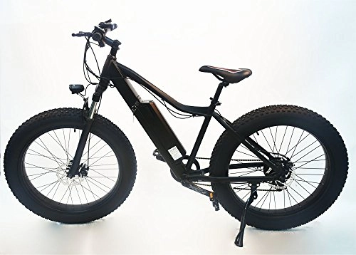 Electric Bike : Electric Bike 36V Lithium-ion Built in Battery Electric Motor Bicycle Ebike 26 - M1226F (Matt Black)