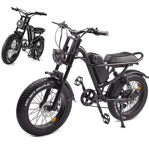 Electric Bike : Electric Bike for Adult 48V 15.6AH Mountain Bike Electric Bicycles Removable Li-Ion Battery, 20"×4" Fat Tire Ebike, LCD display Shimano 7-Speed for Outdoor Cycling