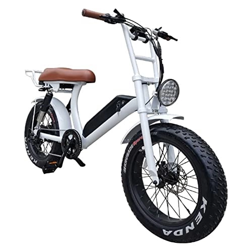 Electric Bike : Electric Bike for Adults 48V 750W Electric Bicycle 20 Inch Fat Tire Snow Beach Mountain Ebike Throttle & Pedal Assist Ebike (Color : White)
