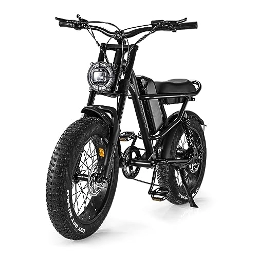 Electric Bike : Electric Bike for Adults, Electric Mountain Bike with 20'Off-Road Tire 20Ah Battery, Commuter, offroad Electric Bicycle