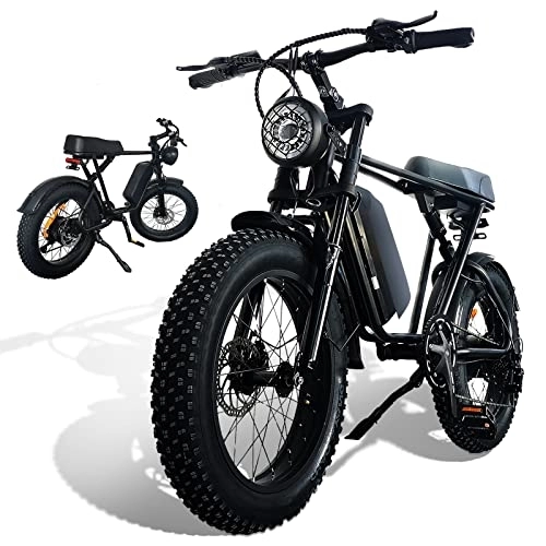 Electric Bike : electric bikes 20 Inch Off-Road EBIKE for Adults with 48V 20AH Detachable Lithium Ion Battery7 Speed Snow Bike with Dual Shock Absorbers and Brush-less Motor (1000w ebike black se1)